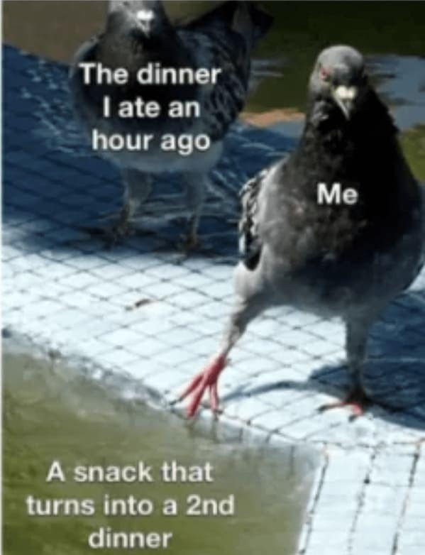 food memes, culinary humor, cooking jokes, food obsession, cuisine memes, gastronomic gags, dieting humor