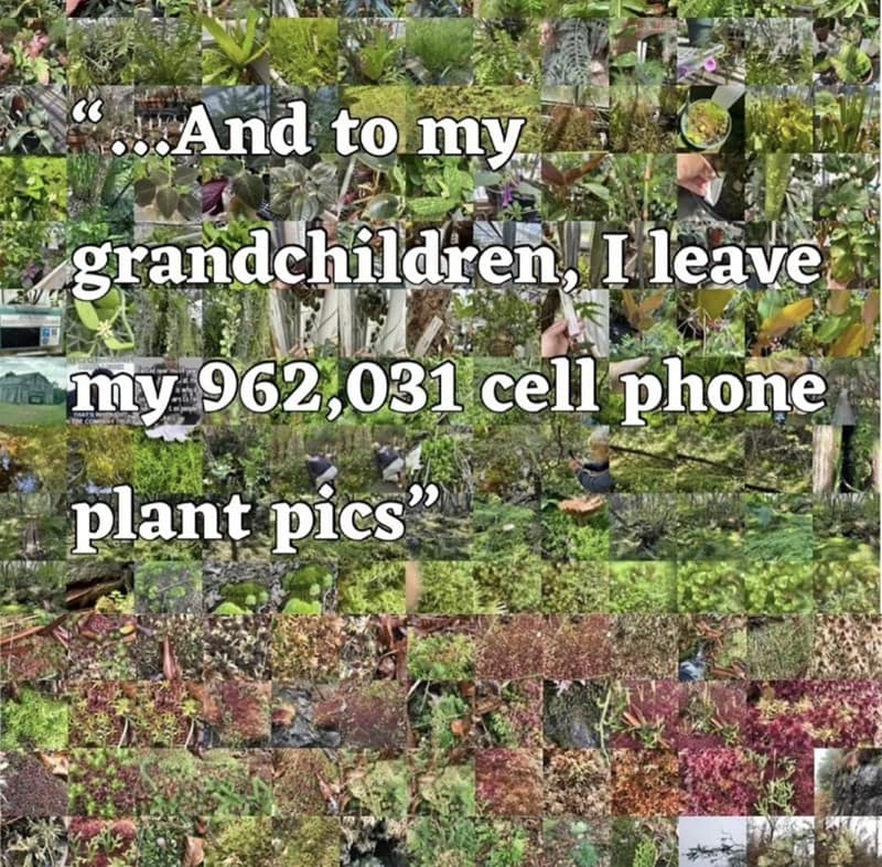 "And to my grandchildren, I leave my 962,031 cell phone plant pics"