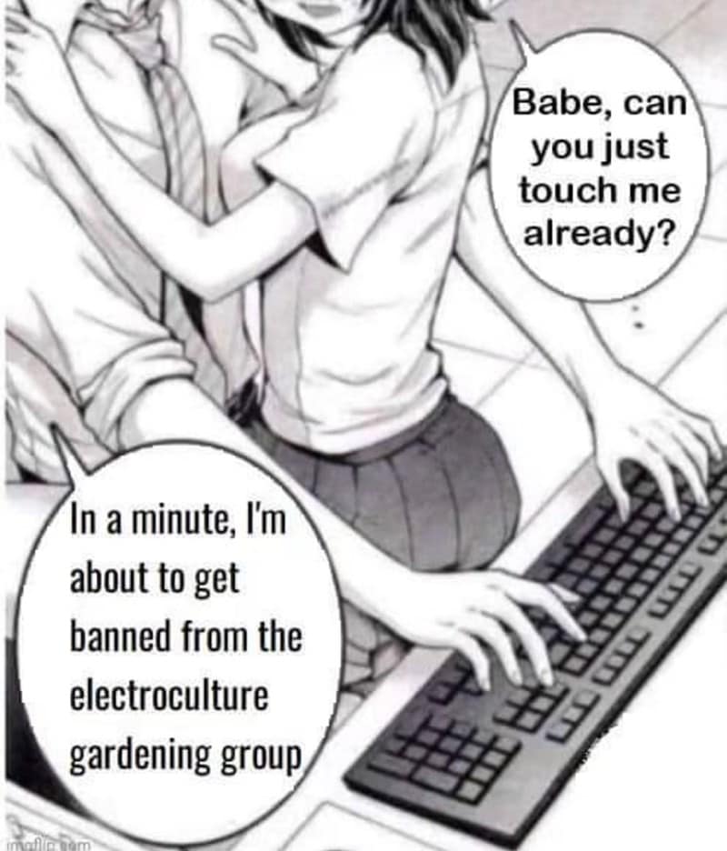 In a minute, Im about to get banned from the electroculture gardening group