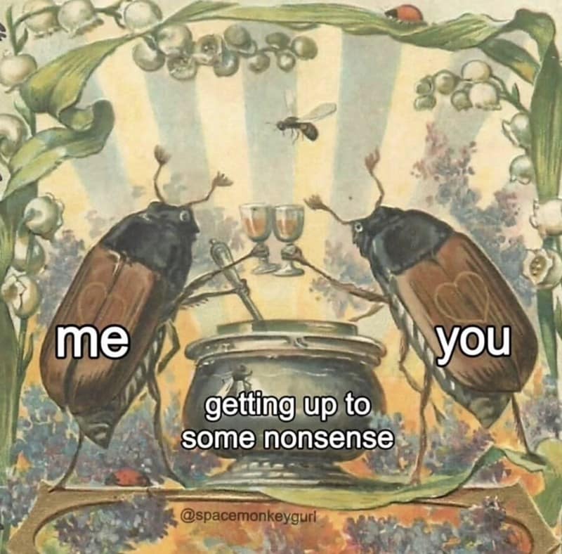 me getting up to some nonsense