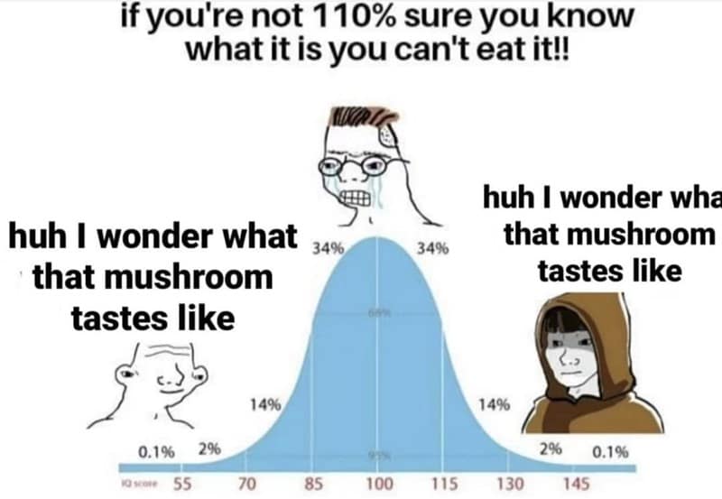 if you're not 110% sure you know what it is you can't eat it!! huh I wonder what that mushroom tastes like