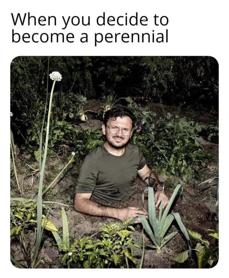 When you decide to become a perennial