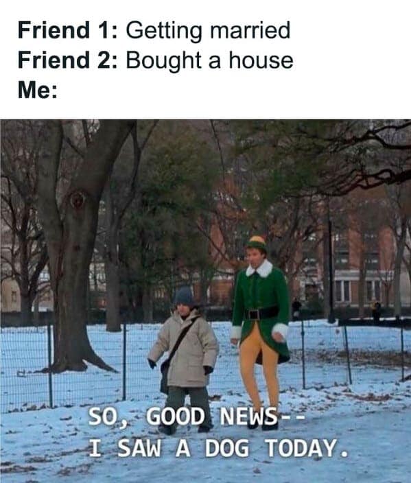 friendship memes, best friend memes, bestie memes, bff memes, BFF humor, hilarious friendships, buddy memes, pal jokes, camaraderie humor