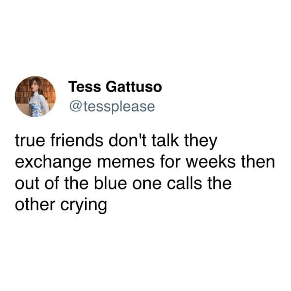 friendship memes, best friend memes, bestie memes, bff memes, BFF humor, hilarious friendships, buddy memes, pal jokes, camaraderie humor