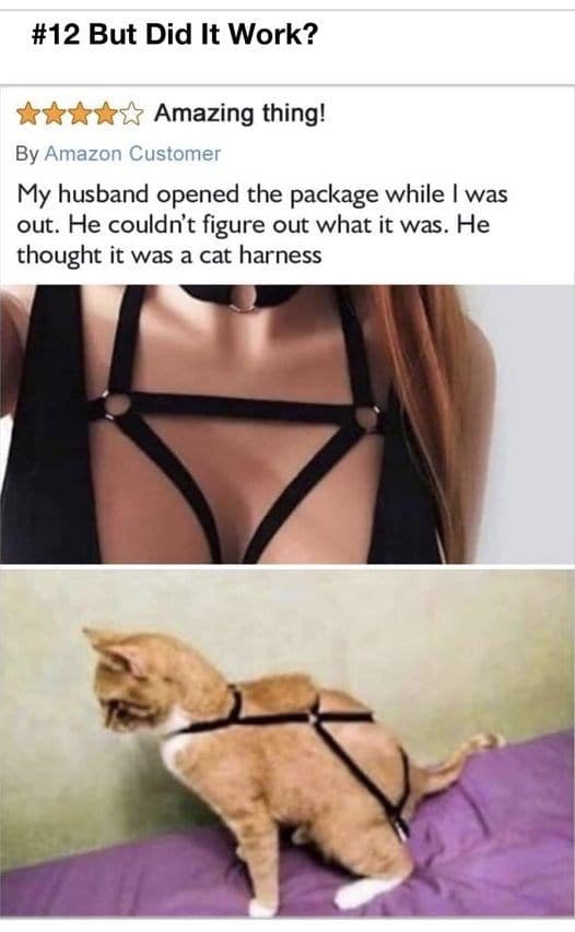 funny amazon reviews, funny product reviews