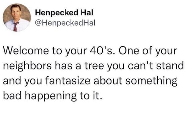 Welcome to your 40's. One of your neighbors has a tree you can't stand and you fantasize about something bad happening to it.