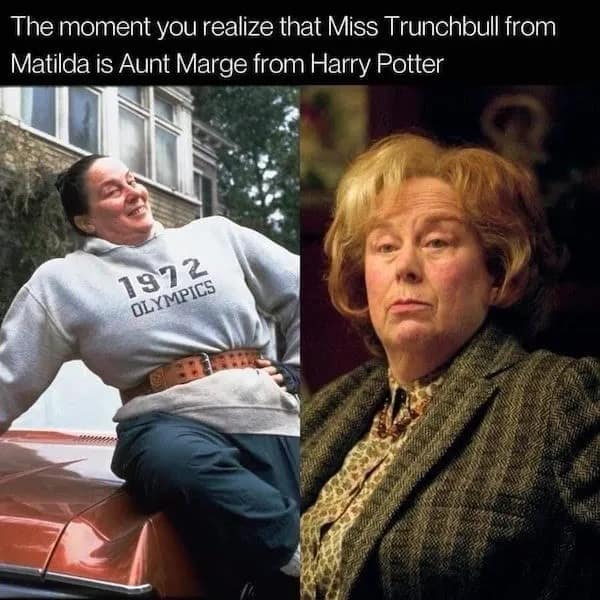 The moment you realize that Miss Trunchbull from Matilda is Aunt Marge from Harry Potter