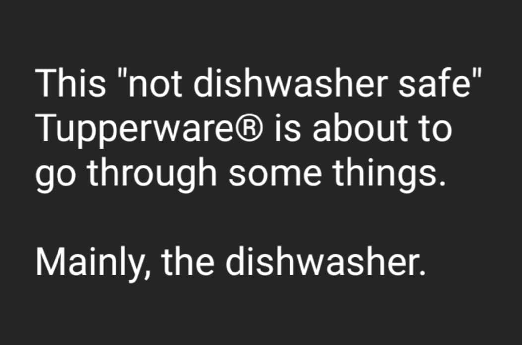 This "not dishwasher safe" Tupperware® is about to go through some things. Mainly, the dishwasher.