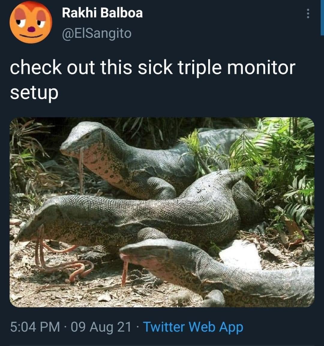 check out this sick triple monitor setup