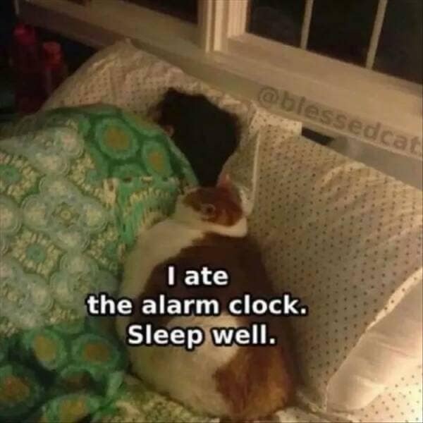 I ate the alarm clock. Sleep well.