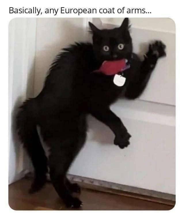 Basically, any European coat of arms...