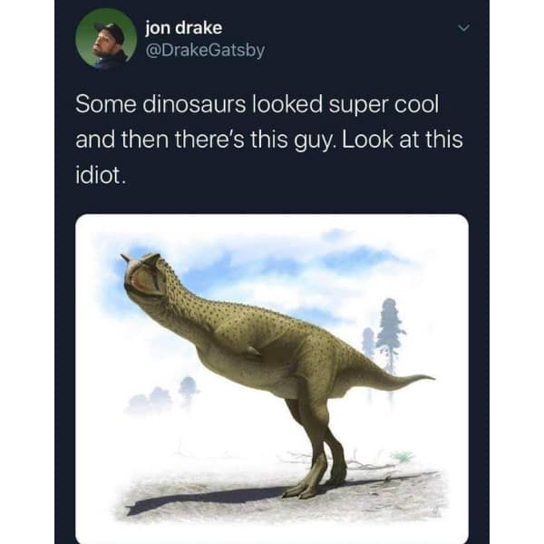 Some dinosaurs looked super cool and then there's this guy. Look at this idiot.