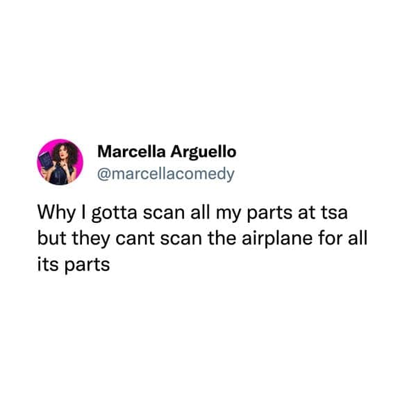 Why I gotta scan all my parts at tsa but they cant scan the airplane for all its parts