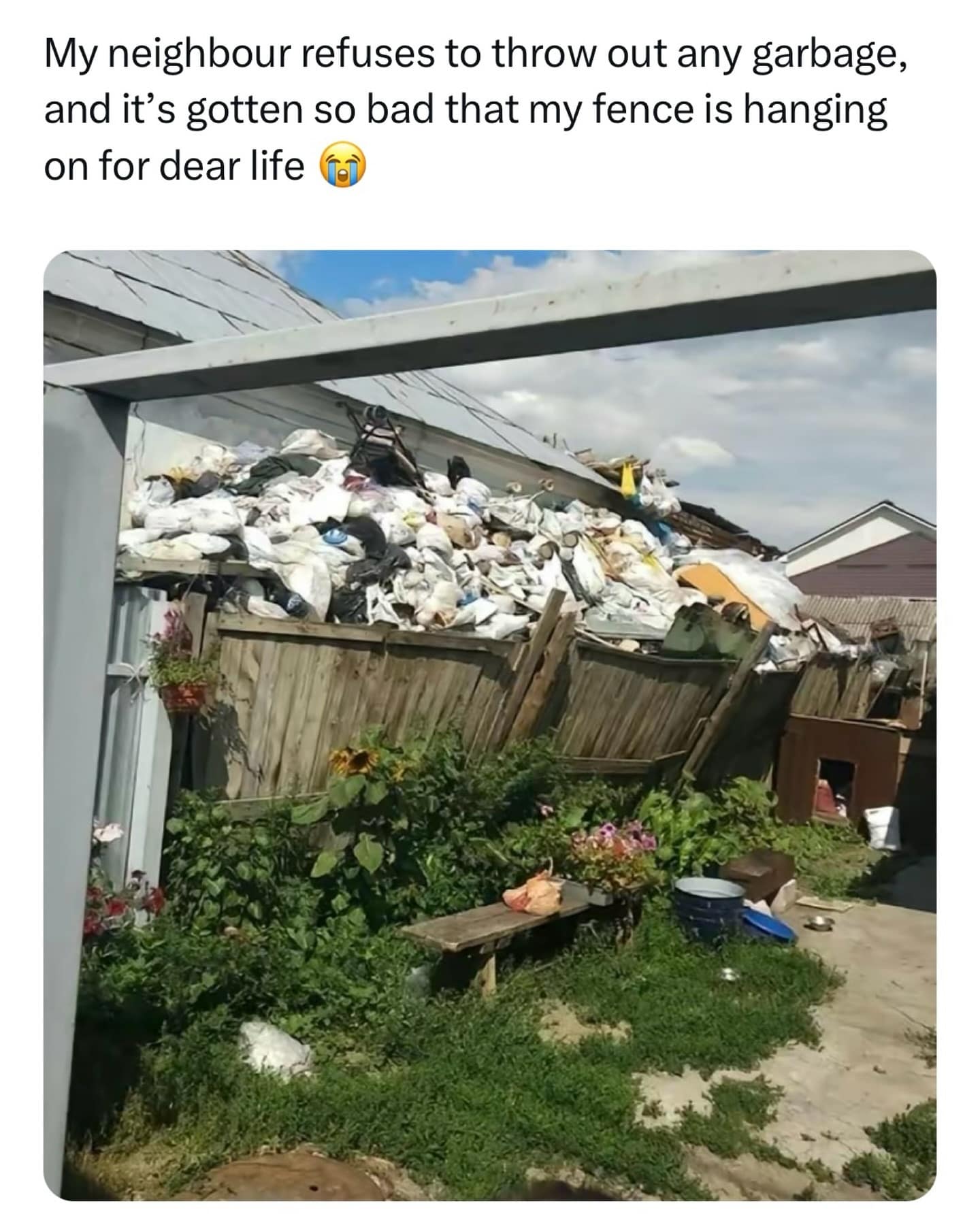My neighbour refuses to throw out any garbage, and it's gotten so bad that my fence is hanging on for dear life