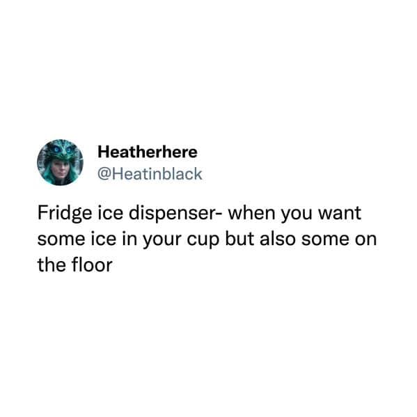 Fridge ice dispenser- when you want some ice in your cup but also some on the floor