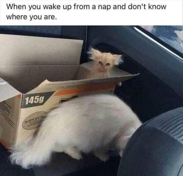 When you wake up from a nap and don't know where you are.