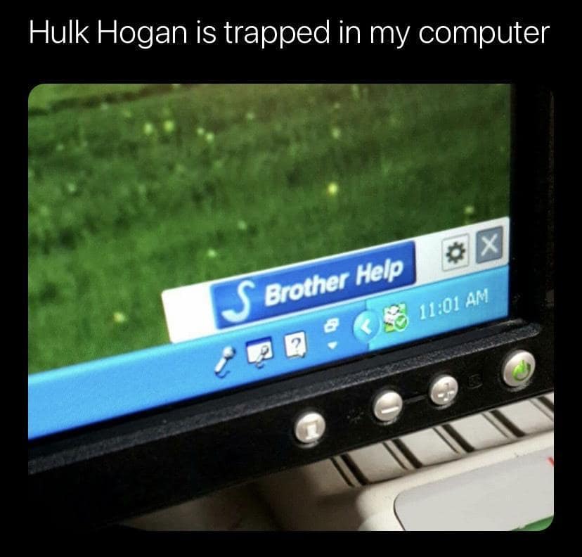 Hulk Hogan is trapped in my computer