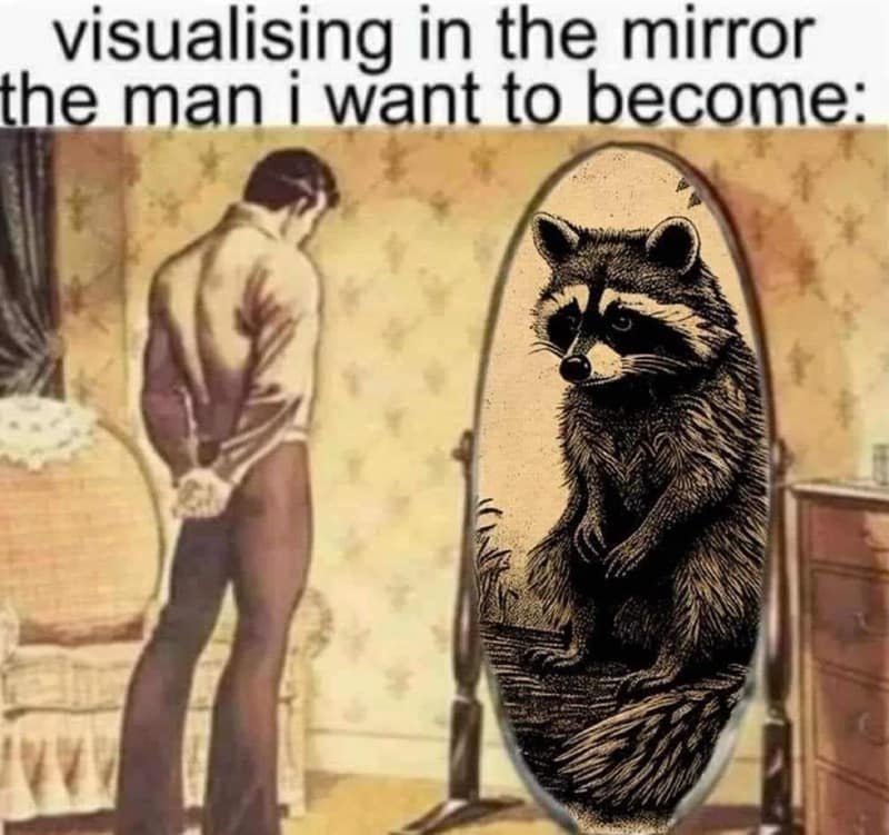 visualising in the mirror the man i want to become: