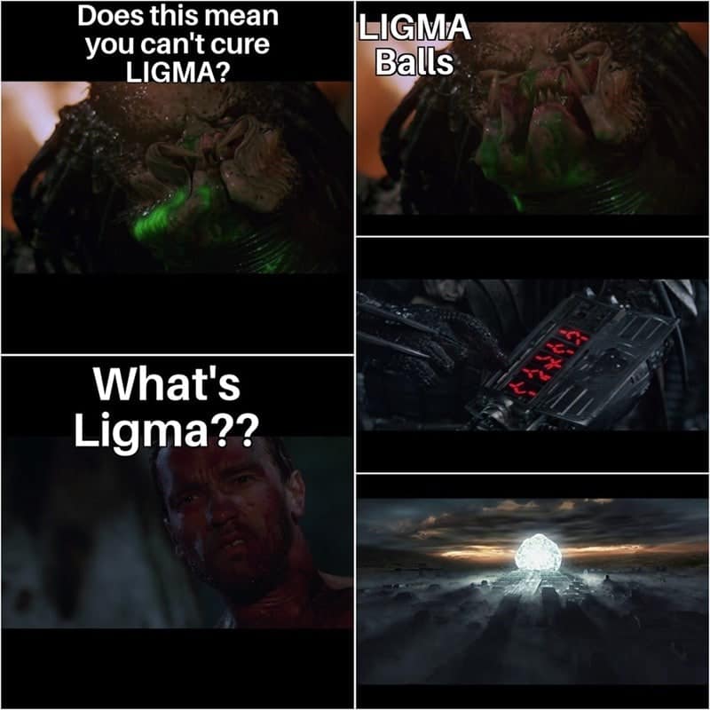 Does this mean you can't cure LIGMA? LIGMA Balls What's Ligma??