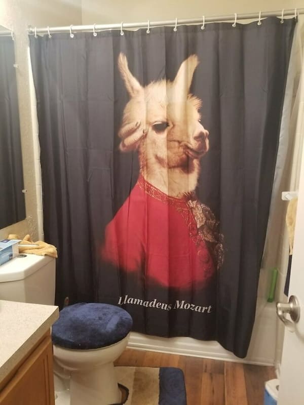 funny shower curtains, hilarious bath curtains, Bathroom Humor, Quirky Home Decor, Comedic Bathroom Accessories, Laughable Bathroom Drapes, Amusing Shower Screens