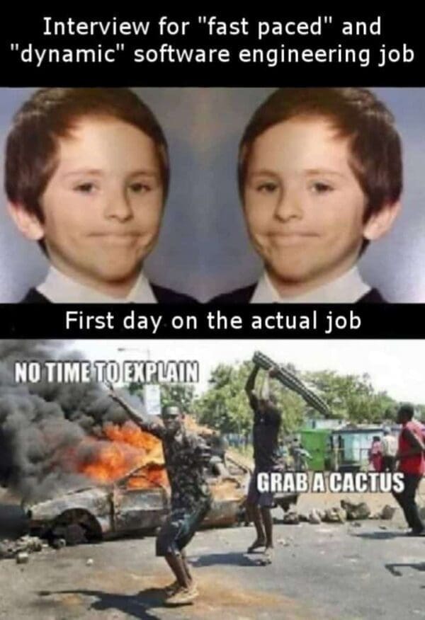 37 Funny Technology Memes for Those That Chose the BUG Life