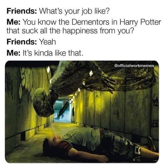 harry potter memes, wizarding world humor, magical memes, Hogwarts jokes, Potterverse memes, spellbinding humor, Dumbledore's laughter spells