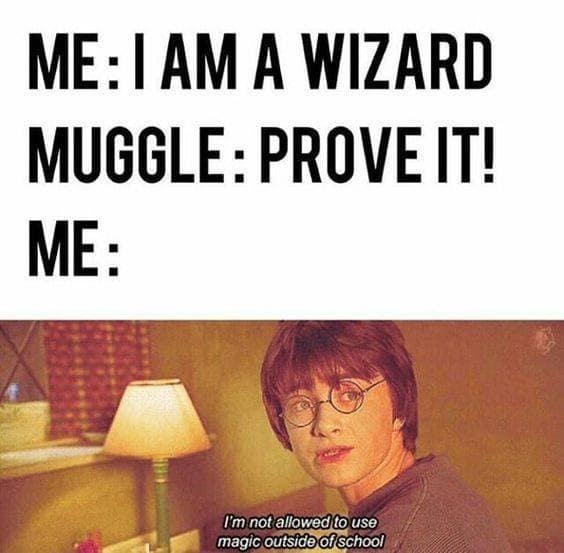 harry potter memes, wizarding world humor, magical memes, Hogwarts jokes, Potterverse memes, spellbinding humor, Dumbledore's laughter spells