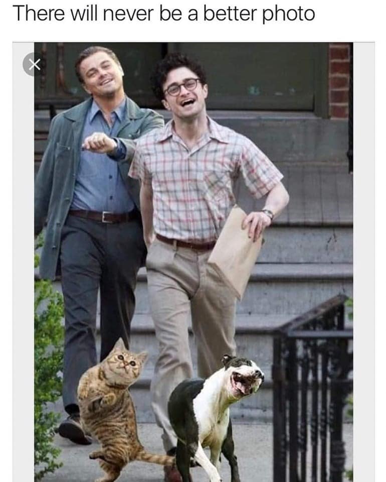 harry potter memes, wizarding world humor, magical memes, Hogwarts jokes, Potterverse memes, spellbinding humor, Dumbledore's laughter spells