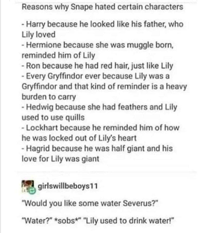 harry potter memes, wizarding world humor, magical memes, Hogwarts jokes, Potterverse memes, spellbinding humor, Dumbledore's laughter spells