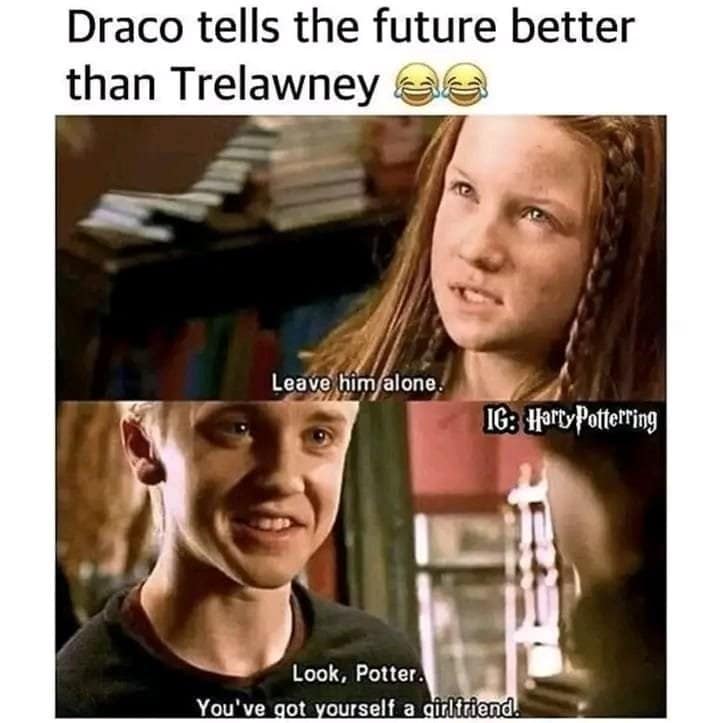 harry potter memes, wizarding world humor, magical memes, Hogwarts jokes, Potterverse memes, spellbinding humor, Dumbledore's laughter spells
