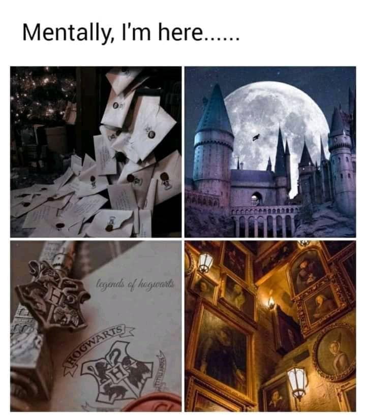 harry potter memes, wizarding world humor, magical memes, Hogwarts jokes, Potterverse memes, spellbinding humor, Dumbledore's laughter spells
