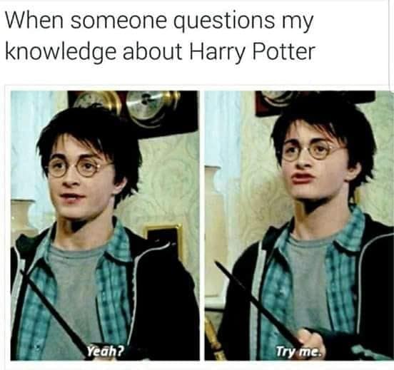 harry potter memes, wizarding world humor, magical memes, Hogwarts jokes, Potterverse memes, spellbinding humor, Dumbledore's laughter spells