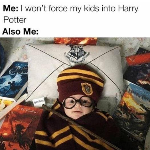 harry potter memes, wizarding world humor, magical memes, Hogwarts jokes, Potterverse memes, spellbinding humor, Dumbledore's laughter spells