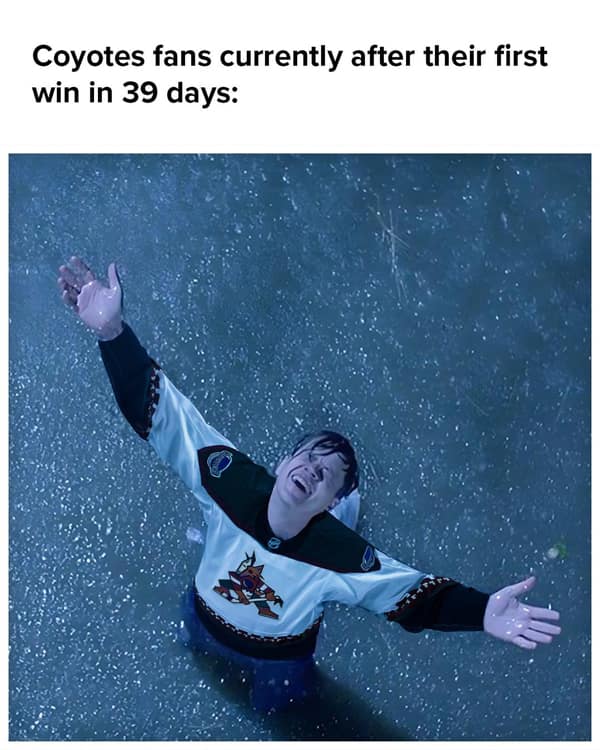 hockey memes, NHL memes, ice hockey humor, sports meme collection, Puck humor, slapstick comedy, hockey fandom memes