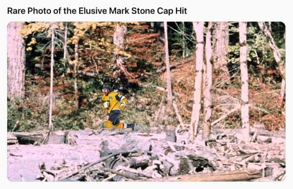 hockey memes, NHL memes, hockey humor, funny hockey memes, ice hockey memes, puck memes, slapshot memes