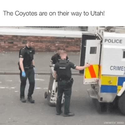 hockey memes, NHL memes, NHL humor, hockey fan jokes, ice hockey laughs, puck humor, slapshot memes, rink comedy