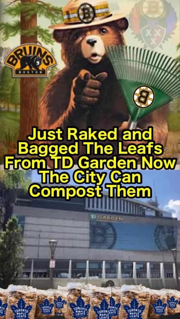 hockey memes, NHL memes, hockey humor, funny hockey memes, ice hockey memes, puck memes, slapshot memes