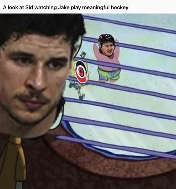 hockey memes, NHL memes, Funny Hockey Memes, Viral Hockey Memes, NHL Shenanigans, Hockey Humor, Slapstick Comedy