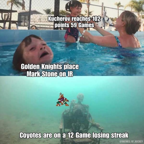 hockey memes, NHL memes, NHL humor, hockey fan jokes, ice hockey laughs, puck humor, slapshot memes, rink comedy