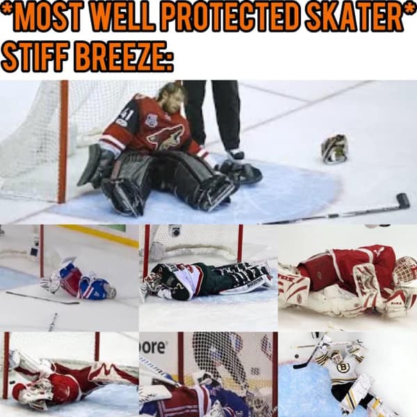 hockey memes, NHL memes, ice hockey humor, sports meme collection, Puck humor, slapstick comedy, hockey fandom memes