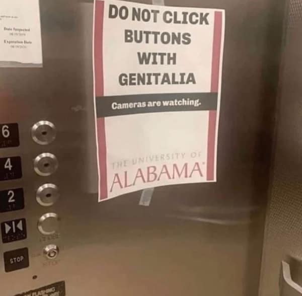 hold up memes, unexpected twists, Confusing Memes, Internet Humor, Pause-Inducing Memes, Bewildering Images, Surreal Humor