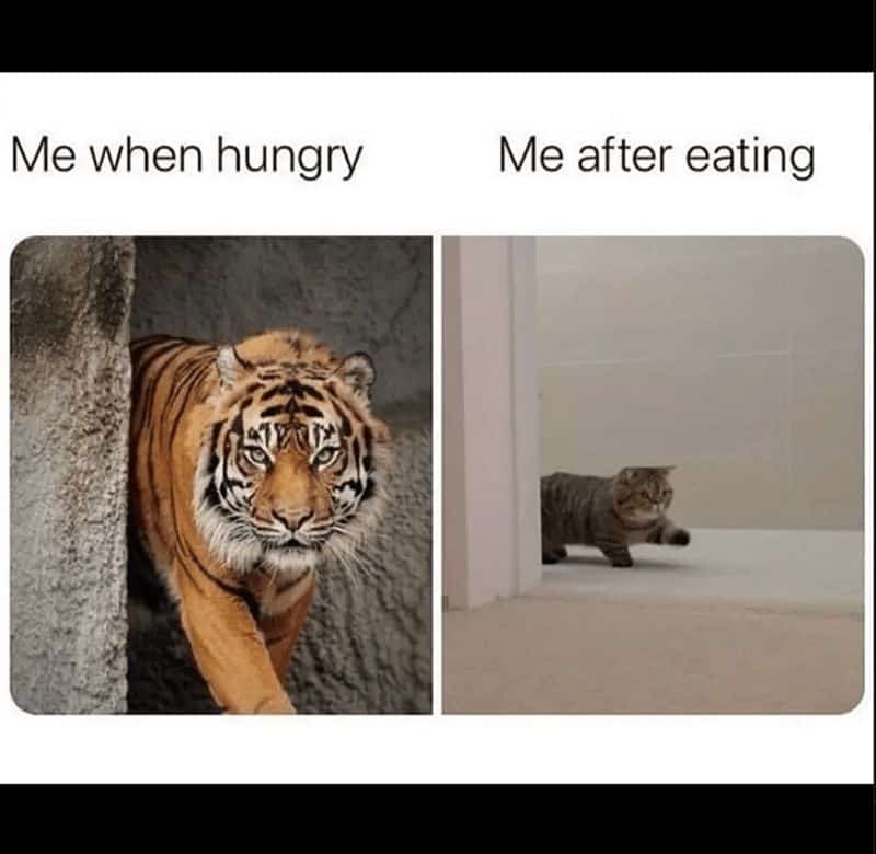 Me when hungry Me after eating