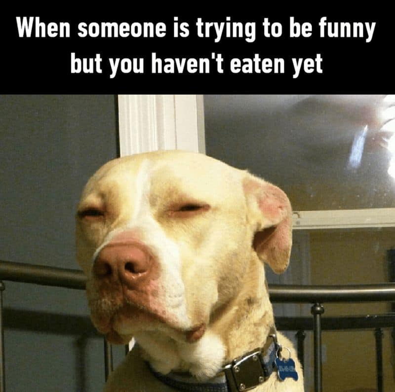 When someone is trying to be funny but you haven't eaten yet