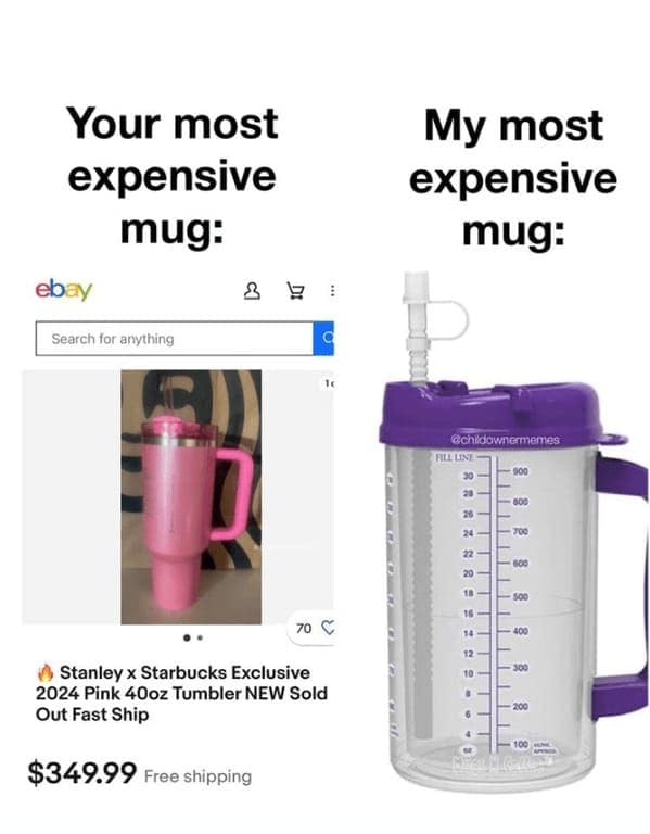 Your most expensive mug: eb: Search for anything 70 € Stanley x Starbucks Exclusive 2024 Pink 40oz Tumbler NEW Sold Out Fast Ship $349.99 Free shipping My most expensive mug: