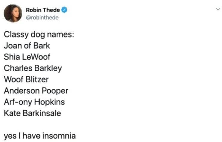 Classy dog names: Joan of Bark Shia LeWoof Charles Barkley Woof Blitzer Anderson Pooper Arf-ony Hopkins Kate Barkinsale yes I have insomnia