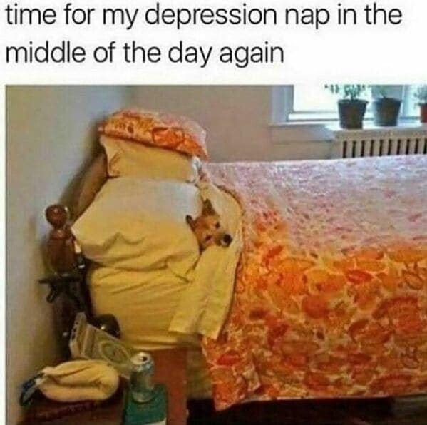 introvert memes, social anxiety memes, introverted memes, introvert tweets, ocial anxiety humor, awkward memes, solitude jokes, shy memes, quiet humor, inwardly funny