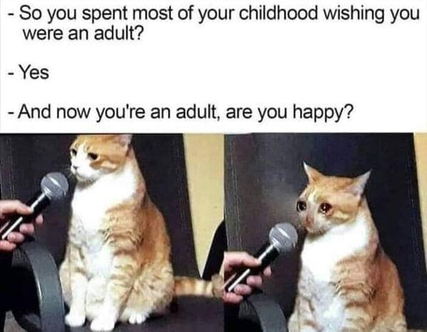 introvert memes, social anxiety memes, introverted memes, introvert tweets, ocial anxiety humor, awkward memes, solitude jokes, shy memes, quiet humor, inwardly funny