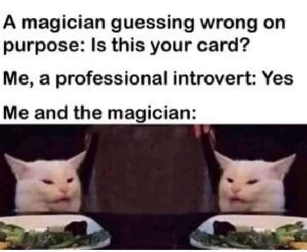 introvert memes, social anxiety memes, introverted memes, introvert tweets, ocial anxiety humor, awkward memes, solitude jokes, shy memes, quiet humor, inwardly funny