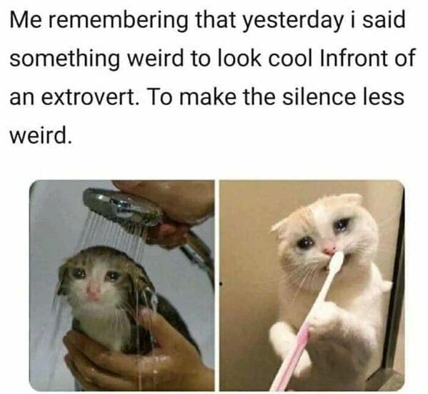 introvert memes, social anxiety memes, introverted memes, introvert tweets, ocial anxiety humor, awkward memes, solitude jokes, shy memes, quiet humor, inwardly funny