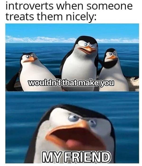 introvert memes, social anxiety memes, introverted memes, introvert tweets, ocial anxiety humor, awkward memes, solitude jokes, shy memes, quiet humor, inwardly funny